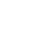 loog-suzano2